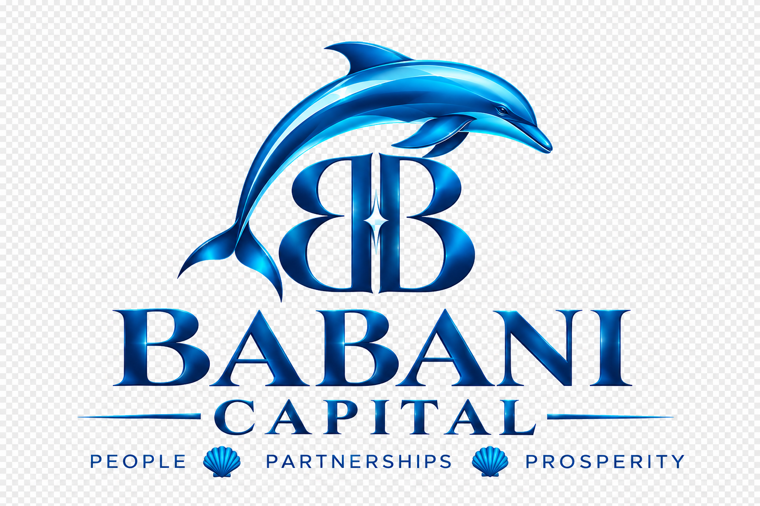 Babani Capital